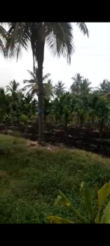 Agricultural/Farm Land for Sale in Arsikere, Hassan (4 Acre)
