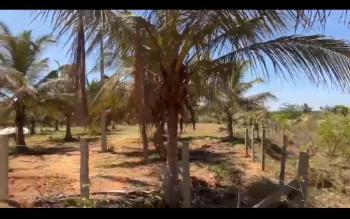 Commercial Lands /Inst. Land for Sale in Bangalore (9 Guntha)