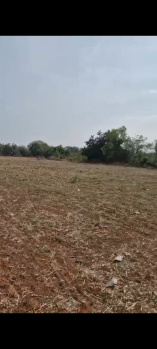 Agricultural/Farm Land for Sale in Doddaballapur, Bangalore (3 Acre)