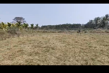 Agricultural/Farm Land for Sale in Salagame, Hassan (14 Guntha)