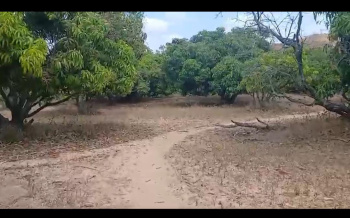 Agricultural/Farm Land for Sale in Ramanagara, Bangalore (1.5 Acre)