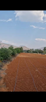 Agricultural/Farm Land for Sale in Doddaballapur, Bangalore (45 Guntha)
