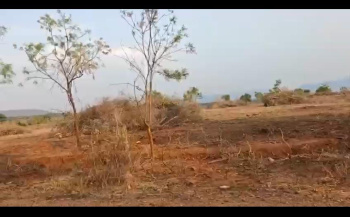 Agricultural/Farm Land for Sale in Malavalli, Mandya (10.5 Acre)