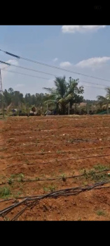 Agricultural/Farm Land for Sale in Doddaballapur, Bangalore (30 Guntha)