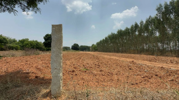 Agricultural/Farm Land for Sale in Doddaballapur, Bangalore (1.18 Acre)