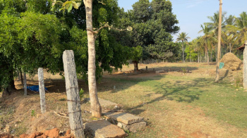 Agricultural/Farm Land for Sale in Nelamangala, Bangalore (5.07 Acre)