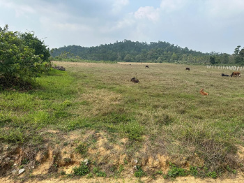 Agricultural/Farm Land for Sale in Mudigere, Chikmagalur (26 Guntha)