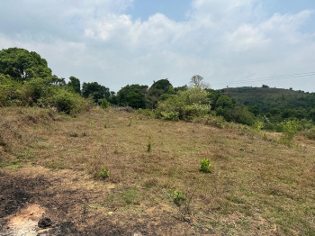 Agricultural/Farm Land for Sale in Mudigere, Chikmagalur (1 Acre)