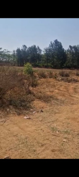 Agricultural/Farm Land for Sale in Doddaballapur, Bangalore (22 Guntha)