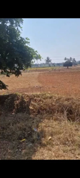 Agricultural/Farm Land for Sale in Doddaballapur, Bangalore (12 Guntha)