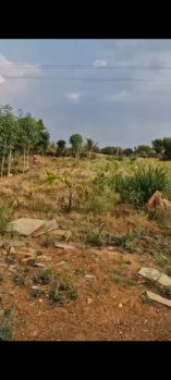 2.20 Acre Agricultural/Farm Land for Sale in Gauribidanur, Bangalore