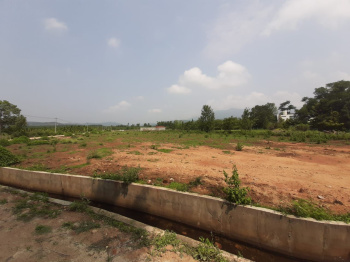 30 Guntha Agricultural/Farm Land for Sale in Tarikere, Chikmagalur