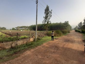1 Acre Agricultural/Farm Land for Sale in Kadur, Chikmagalur