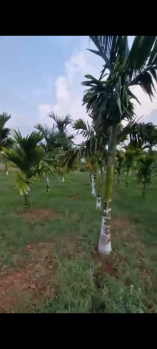 Agricultural/Farm Land for Sale in Hessarghatta, Bangalore (1.39 Acre)