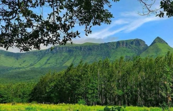 8.18 Guntha Agricultural/Farm Land for Sale in KHB Colony, Chikmagalur