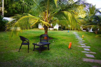 Agricultural/Farm Land for Sale in Shivamogga, Shimoga (267894 Sq.ft.)