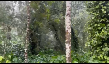 Agricultural/Farm Land for Sale in Doddaballapur, Bangalore (21 Guntha)