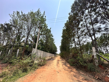 Agricultural/Farm Land for Sale in Nandi Hills, Bangalore (1.27 Guntha)