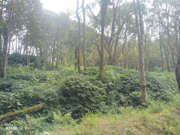 8 Guntha Agricultural/Farm Land for Sale in TC Palya Road, Bangalore
