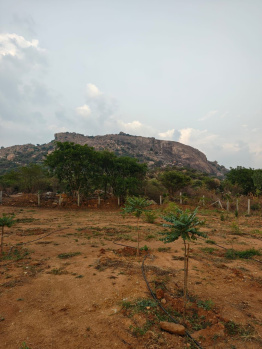 Agricultural/Farm Land for Sale in Doddaballapur, Bangalore (30 Guntha)