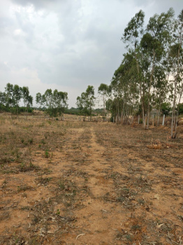 Agricultural/Farm Land for Sale in Doddaballapur, Bangalore (1.33 Acre)