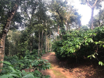 Agricultural/Farm Land for Sale in Sakleshpur, Hassan (14 Acre)
