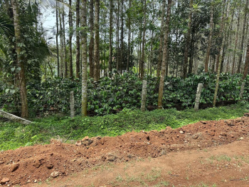 4.5 Acre Agricultural/Farm Land for Sale in Kadur, Chikmagalur