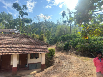 Agricultural/Farm Land for Sale in Mudigere, Chikmagalur (60 Acre)