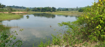Agricultural/Farm Land for Sale in Holenarsipur, Hassan (18 Acre)