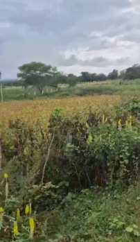 Agricultural/Farm Land for Sale in Ramanagara, Bangalore (5.04 Acre)