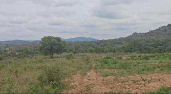 Agricultural/Farm Land for Sale in Doddaballapur, Bangalore (2.13 Acre)