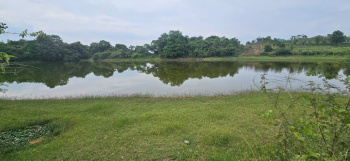 12 Acre Agricultural/Farm Land for Sale in Sakleshpur, Hassan
