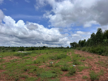 Agricultural/Farm Land for Sale in Doddaballapur, Bangalore (1.23 Acre)