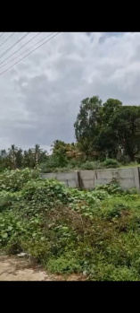 Agricultural/Farm Land for Sale in Nelamangala, Bangalore (1.32 Acre)