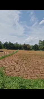 Agricultural/Farm Land for Sale in Doddaballapur, Bangalore (1.32 Acre)