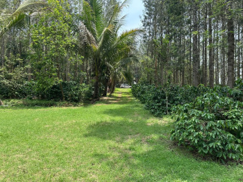 Agricultural/Farm Land for Sale in Sakleshpur, Hassan (30 Acre)