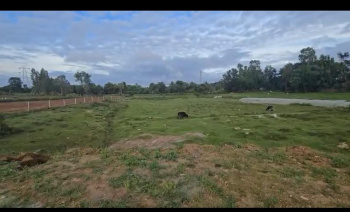 3.25 Acre Agricultural/Farm Land for Sale in Hebbalu, Hassan
