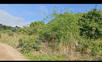 Agricultural/Farm Land for Sale in Ramanagara, Bangalore (4 Acre)