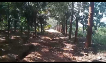 Agricultural/Farm Land for Sale in Yelandur, Chamarajanagar (15.10 Acre)