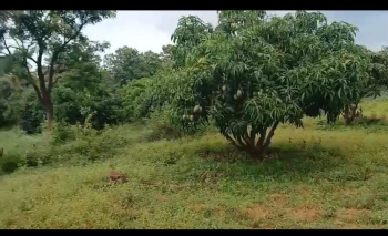 Agricultural/Farm Land for Sale in Kanakapura, Bangalore (18 Acre)