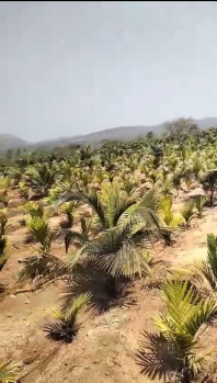 Agricultural/Farm Land for Sale in Ramanagara, Bangalore (2.5 Acre)