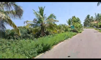 Agricultural/Farm Land for Sale in Kanakapura, Bangalore (3 Acre)