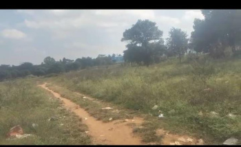 10 Acre Agricultural/Farm Land for Sale in Heggere, Tumkur