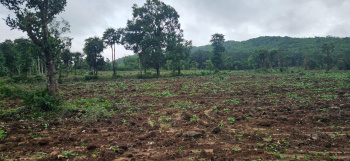 12 Acre Agricultural/Farm Land for Sale in Belur Hassan, Hassan