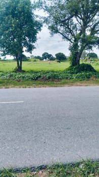 26 Guntha Agricultural/Farm Land for Sale in Koduvalli, Chikmagalur