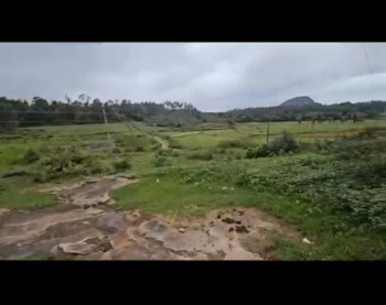18 Acre Agricultural/Farm Land for Sale in Hebbalu, Hassan