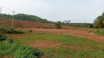 Agricultural/Farm Land for Sale in Nandi Hills, Bangalore (5.5 Acre)
