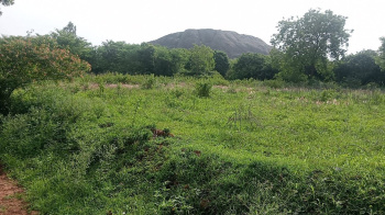 5.5 Acre Agricultural/Farm Land for Sale in Ramanagara, Bangalore