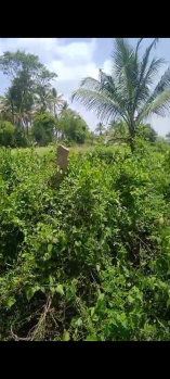 Agricultural/Farm Land for Sale in Ramanagara, Bangalore (13 Acre)