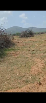 13 Acre Agricultural/Farm Land for Sale in Hanuma Reddy Layout, Bangalore